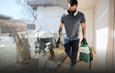 What and Where to Find Reliable Pest Solutions with Tom's Pest Control Canberra